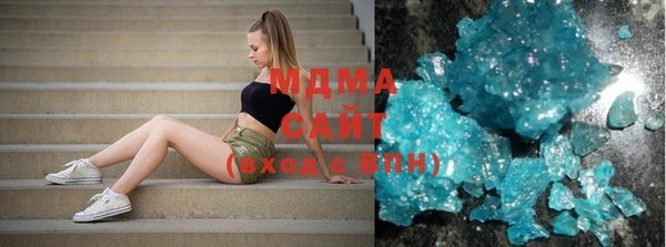 хмурый Аркадак