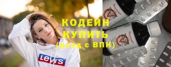 хмурый Аркадак