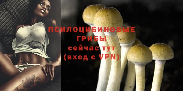 a pvp Арсеньев