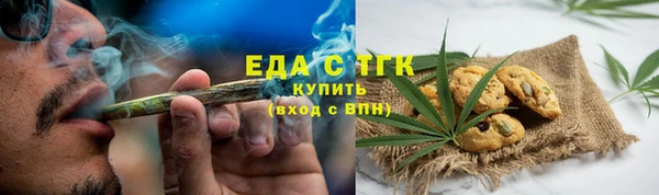 хмурый Аркадак