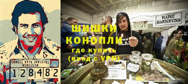 хмурый Аркадак