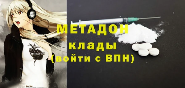 хмурый Аркадак