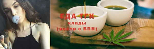 хмурый Аркадак