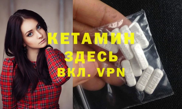хмурый Аркадак