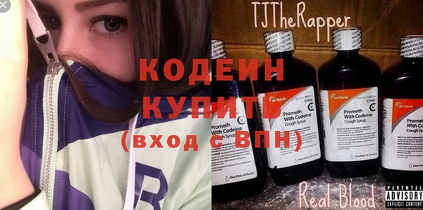хмурый Аркадак