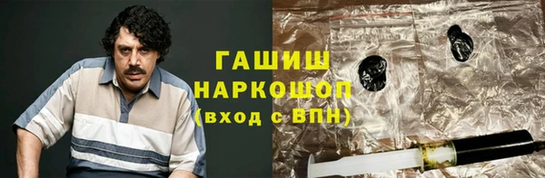 хмурый Аркадак