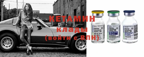 хмурый Аркадак